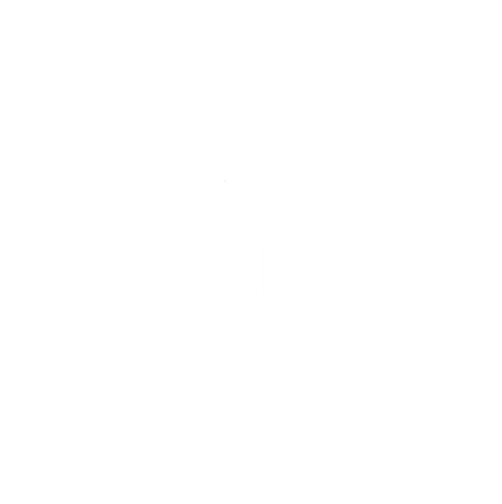 Private Probation Service